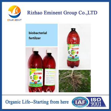 seaweed bio fertilizer for treatment of rotted root